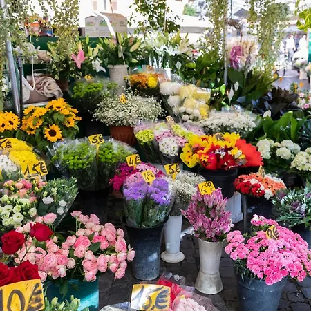 Giubbonari 게스트하우스 4*